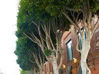 San Francisco 旧金山47