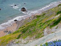 San Francisco 旧金山85