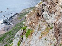 San Francisco 旧金山86