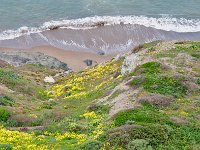 San Francisco 旧金山88