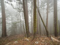 Sequoia National Park 红杉树国家公园26