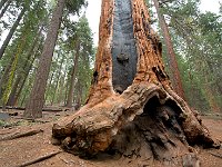 Sequoia National Park 红杉树国家公园31
