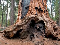 Sequoia National Park 红杉树国家公园32
