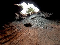 Sequoia National Park 红杉树国家公园34