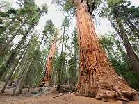 Sequoia National Park 红杉树国家公园36