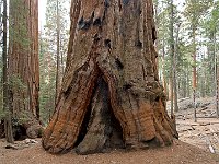 Sequoia National Park 红杉树国家公园39