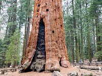 Sequoia National Park 红杉树国家公园42