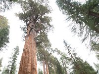 Sequoia National Park 红杉树国家公园44