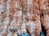Sequoia National Park 红杉树国家公园5