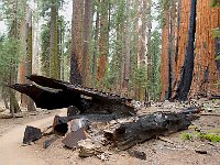 Sequoia National Park 红杉树国家公园67