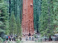 Sequoia National Park 红杉树国家公园7