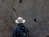 Sequoia National Park 红杉树国家公园9