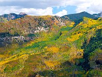Colorado 科罗拉多38
