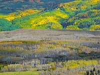 Colorado 科罗拉多49