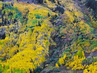 Colorado 科罗拉多66