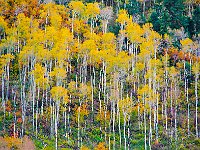 Colorado 科罗拉多（2011）