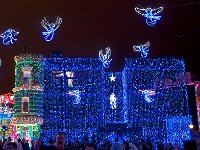 Disney 迪斯尼乐园28