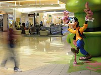 Disney 迪斯尼乐园29