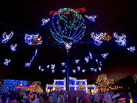 Disney 迪斯尼乐园36