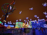 Disney 迪斯尼乐园37