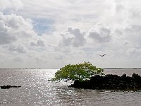 Everglades 沼泽地国家公园2