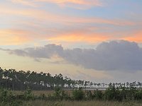 Everglades 沼泽地国家公园23
