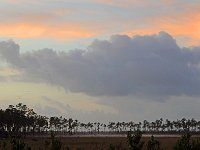 Everglades 沼泽地国家公园25