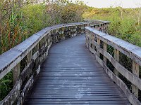 Everglades 沼泽地国家公园28