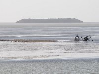 Everglades 沼泽地国家公园38