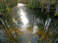 Everglades 沼泽地国家公园46