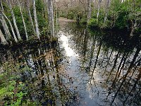 Everglades 沼泽地国家公园47