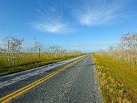 Everglades 沼泽地国家公园49