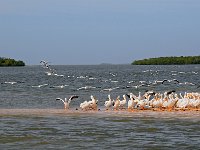 Florida