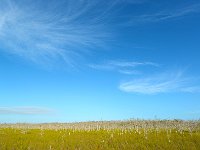 Everglades 沼泽地国家公园50