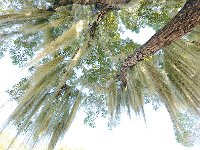 Everglades 沼泽地国家公园52