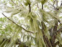 Everglades 沼泽地国家公园53