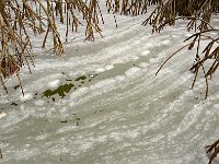 Everglades 沼泽地国家公园60