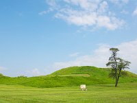 Cahokia Mounds Historic Site卡霍基亚历史遗址（2025）