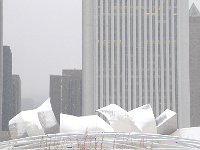 Chicago芝加哥19