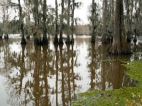 Louisiana