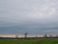 DSC 4279's
