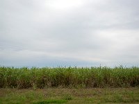 DSC 5756's