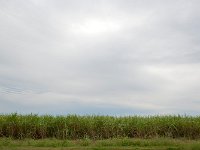 DSC 5757's