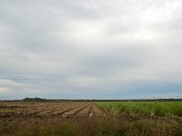 DSC 5775's