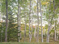 Acadia National Park 阿卡迪亚国家公园