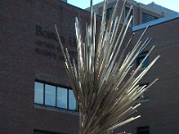 DSC 1400
