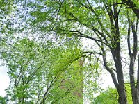 Harvard 哈佛大学12