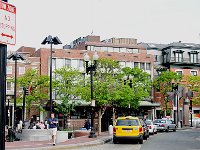 Harvard 哈佛大学16