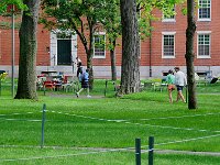 Harvard 哈佛大学4