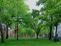 Harvard 哈佛大学7